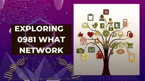 0981 what network tnt